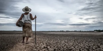 Peran dan Posisi Perempuan dalam Negosiasi Krisis Iklim Global